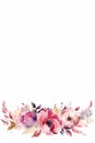 Watercolor illustration, drawing, mockup - beautiful red and pink wild flowers on a white background, copy space.