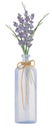 Watercolor dry lavender pampas in blue glass vase with rope twine