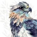 Watercolor illustration of eagle head with blue and brown feathers