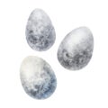 Watercolor illustration of easter unpainted eggs isolated on white backgroung