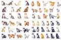 Watercolor of elements of Cats of various breeds in cute poses. Created using Generative AI