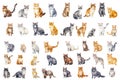 Watercolor of elements of Cats of various breeds in cute poses. Created using Generative AI