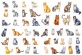 Watercolor of elements of Cats of various breeds in cute poses. Created using Generative AI