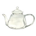 Watercolor illustration of empty transparent teapot for medicinal herbs isolated on white . Glass teapot for herbal tea