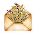 Envelope with sprigs of willow and mimosa watercolor