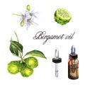 Watercolor illustration with essential oil of bergamot