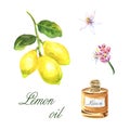 Watercolor illustration with essential oil of lemon