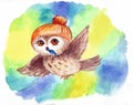 Small owl flying with a candy cap watercolor illustrtion print to decorate children`s clothing and children`s rooms.