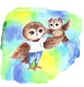 Small owl  watercolor illustrtion print to decorate children`s clothing and children`s rooms. Bright watercolor sketch of an owl o Royalty Free Stock Photo