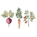 Watercolor illustration with farm grown products.
