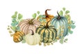 Watercolor illustration, floral pumpkins, Halloween clip art, autumn design elements, fall, holiday clip art isolated on