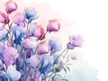 watercolor flower background - purple and white sweet peas