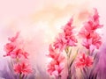 watercolor flower background - red and pink gladioli