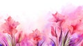 watercolor flower background - red and pink gladioli