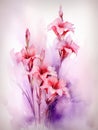 watercolor flower background - red and pink gladioli