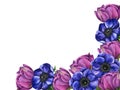 Watercolor illustration of flower composition, frame bouquet for greeting card, background or flyer. Violet anemone