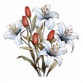Hand Illustrated Lily Bouquet With Red And White Flowers