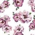 Watercolor illustration of a with flowers pink Magnolias. Pattern on isolated white background for your design, wrapping paper