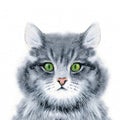 Watercolor illustration of a fluffy gray cat with a beautiful green eye