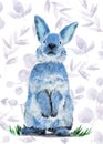 Watercolor illustration of a fluffy gray rabbit or hare with long ears