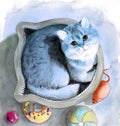 Watercolor illustration of a fluffy grey cat in a basket in the form of a cat\'s head