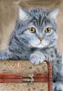 Watercolor illustration of a fluffy grey cat with yellow eyes lying on a brown chest