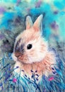 Watercolor illustration of a fluffy yellow rabbit or hare with cute ears