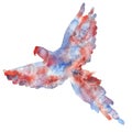 Watercolor illustration of a flying parrot silhouette