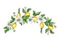 Wreath of ripe lemons flowers and daisies watercolor