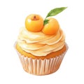 fruit cake, berry dessert, apricot cupcake isolated on a white background