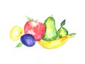 Watercolor illustration of fruits. Bananas, apple, pear, lemon and plum Royalty Free Stock Photo