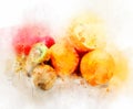 Watercolor Illustration Fruits