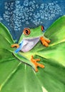 Watercolor illustration of funny colorful frog sitting on a green leaf