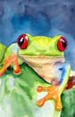 Watercolor illustration of funny colorful frog Royalty Free Stock Photo