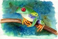 Watercolor illustration of funny colorful frog Royalty Free Stock Photo