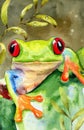 Watercolor illustration of funny colorful frog Royalty Free Stock Photo