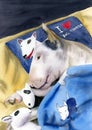 A watercolor illustration of a funny and cute white bull terrier sleeping under a blanket