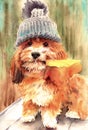 Watercolor illustration of a funny fluffy red dog with a knitted hat