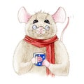 Watercolor illustration of a funny small mouse in a red warm scarf. Cute friendly rat with a blue cup, wearing glasses.