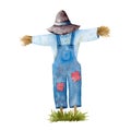 Watercolor illustration with garden scarecrow Royalty Free Stock Photo