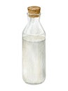 Watercolor illustration glass bottle of milk