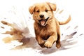 Watercolor illustration of a golden retriever puppy running, AI Royalty Free Stock Photo