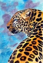 Watercolor illustration of a golden yellow with black spots leopard