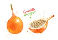 Watercolor illustration of Granadilla fruit