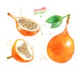 Watercolor illustration of Granadilla fruit