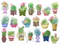 Watercolor illustration graphic elements plant flower pot garden collection indoor outdoor hand paint on white