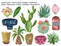 Watercolor illustration graphic elements plant flower pot indoor outdoor cactus succulents hand paint on white