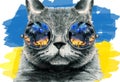 Watercolor illustration of a gray fluffy cat in round glasses reflecting the cosmic starry blue and yellow sky