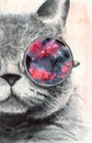 Watercolor illustration of a gray fluffy cat in round glasses