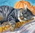 Watercolor illustration of a gray tabby cat sleeping comfortably in warm blankets Royalty Free Stock Photo